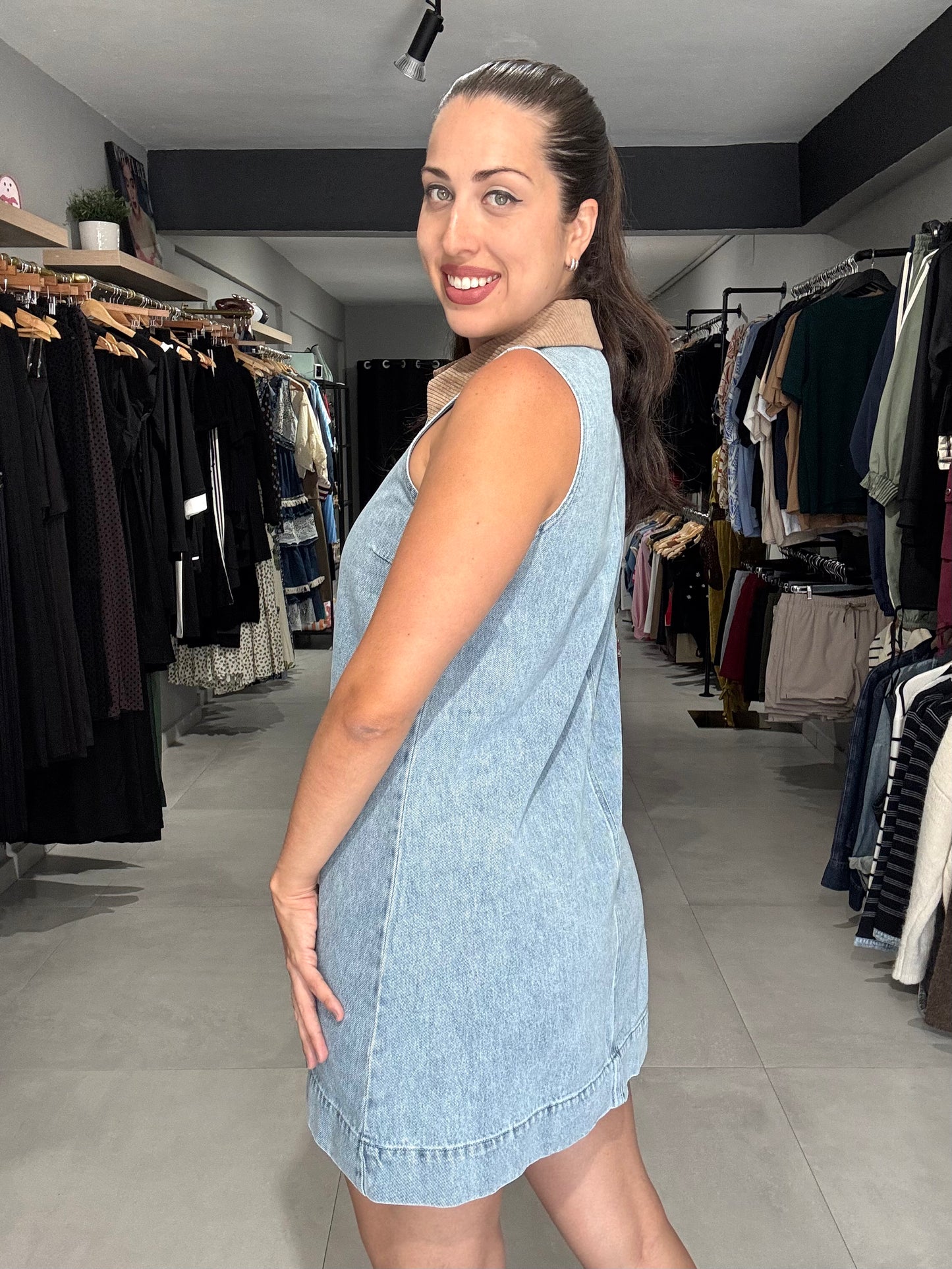 Fall Denim Dress